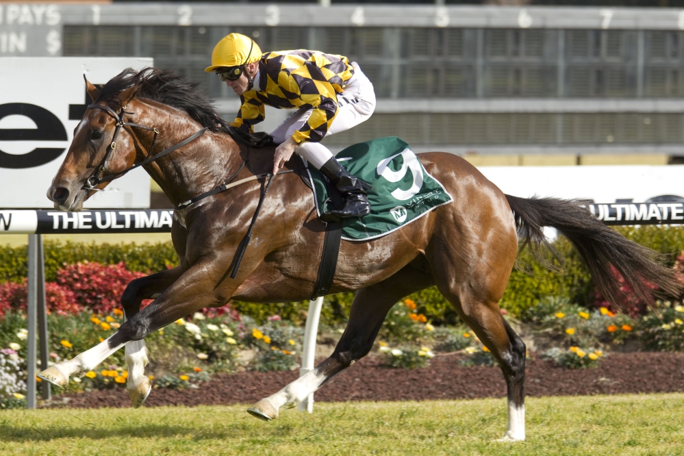 SCISSOR KICK x MISS BAX Colt with The People's Trainer RICHARD FREEDMAN